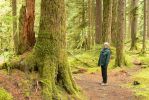 PICTURES/Sol Duc - Ancient Groves/t_Sharon on Trail.JPG